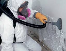 Best Comprehensive Air Testing for Mold Contaminants  in Wanaque, NJ